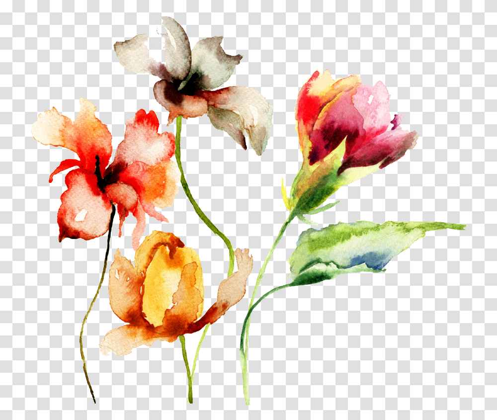 Watercolor Flowers With Stems, Plant, Blossom, Gladiolus, Acanthaceae Transparent Png