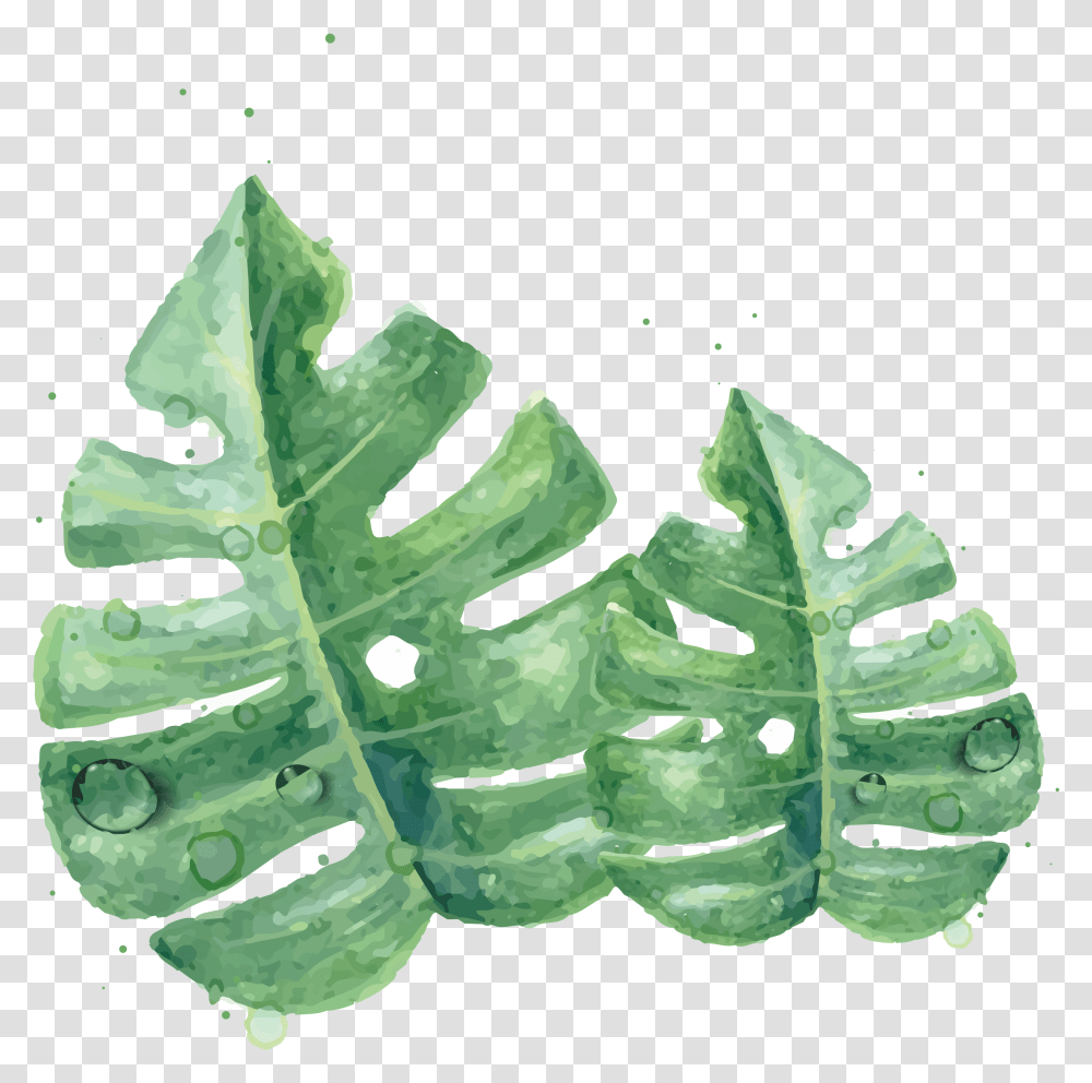 Watercolor Green Skin Painting Clipart Clipart Watercolor Green Leaf, Plant, Fern Transparent Png