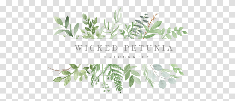 Watercolor Greenery Clipart, Potted Plant, Vase, Jar, Pottery Transparent Png
