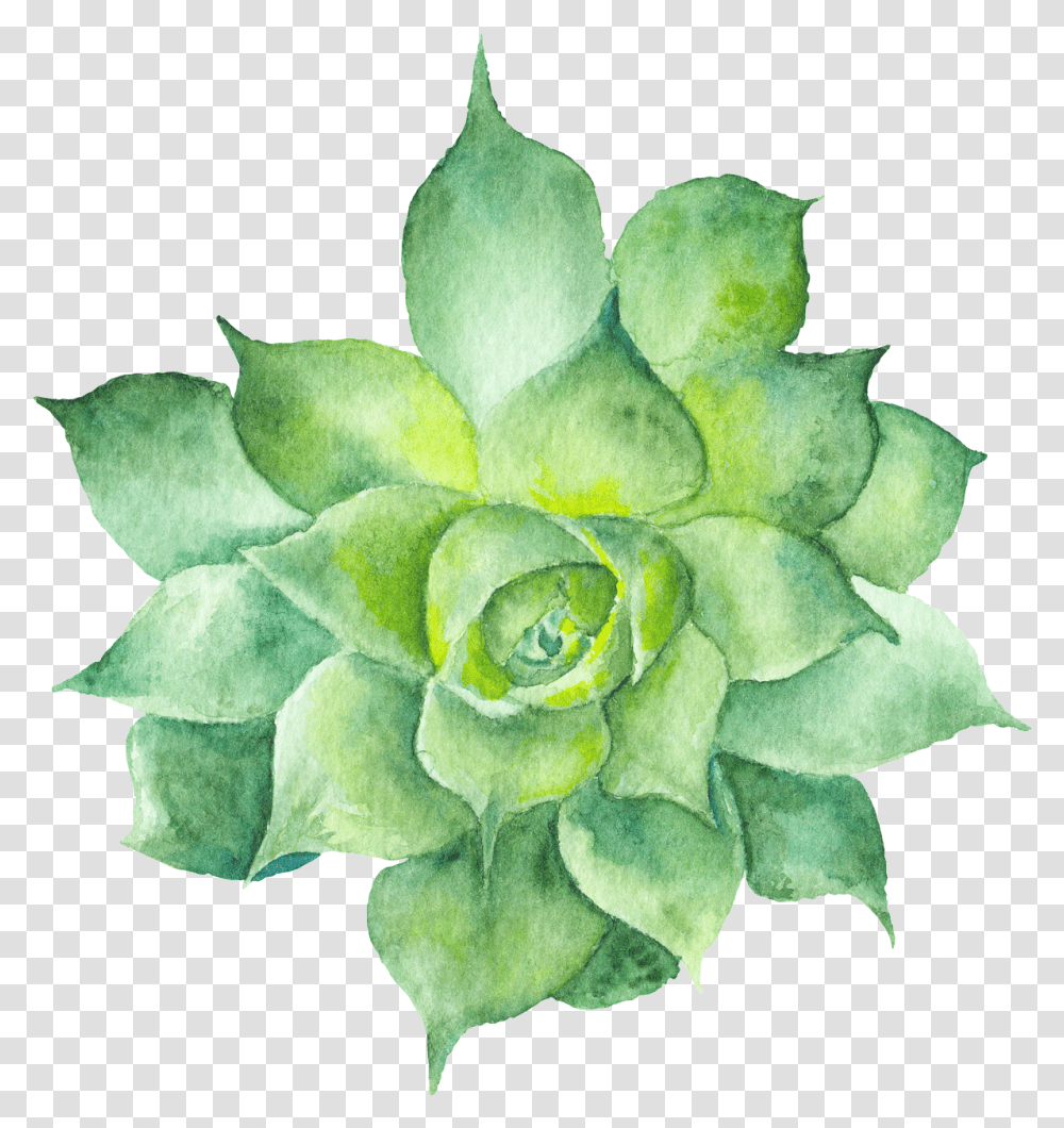 Watercolor Greenery Succulent Clipart Background, Plant, Leaf, Ornament, Flower Transparent Png