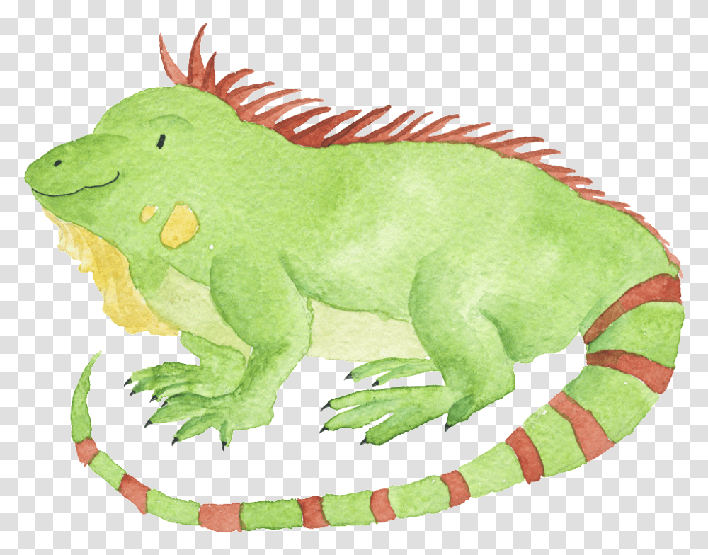 Watercolor Hand Drawn Animal Iguana Illustration Drawing, Lizard, Reptile Transparent Png