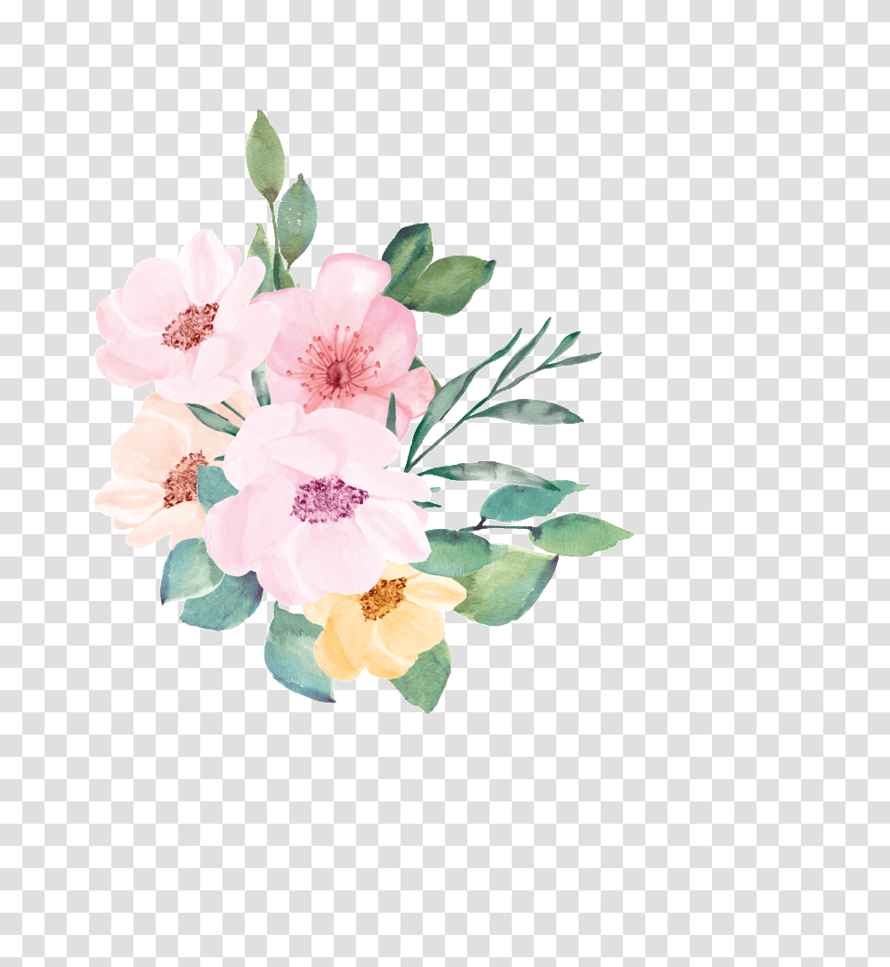 Watercolor Hand Painted Plant Flower About Artificial Flower, Blossom, Carnation, Floral Design Transparent Png