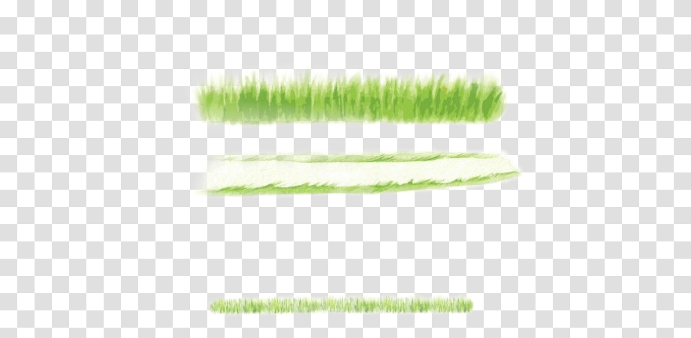 Watercolor Handpainted Grass Sticker By Stephanie Horizontal, Plant, Brush, Food, Vegetable Transparent Png