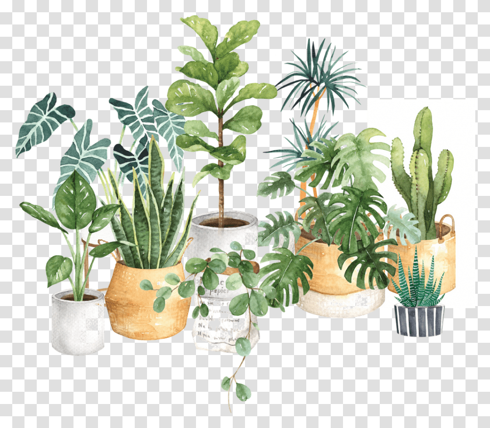 Watercolor House Plants Potted Watercolor House Plants, Potted Plant, Vase, Jar, Pottery Transparent Png