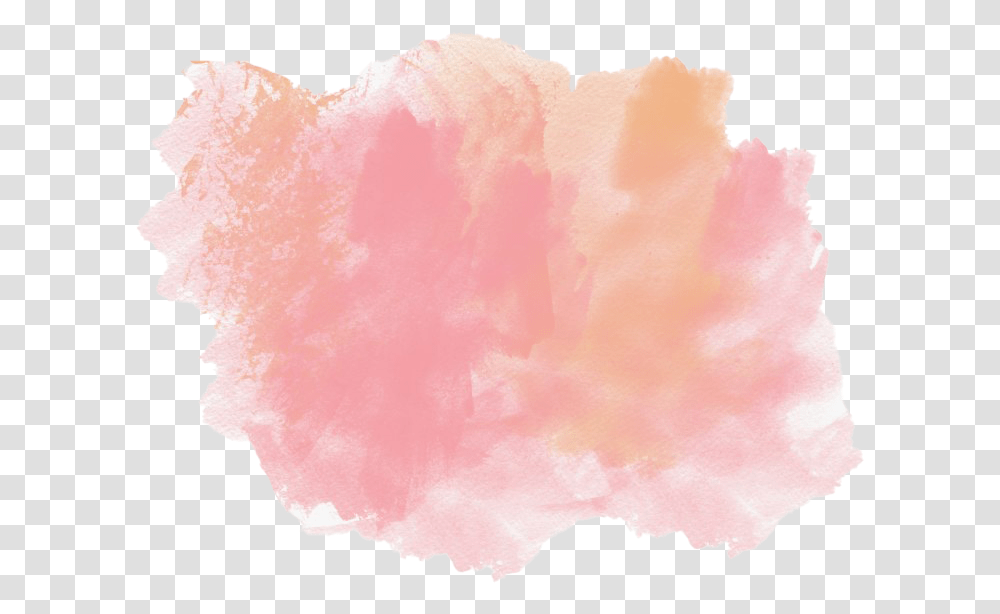 Watercolor Images Watercolor Paint, Rose, Flower, Plant, Blossom Transparent Png