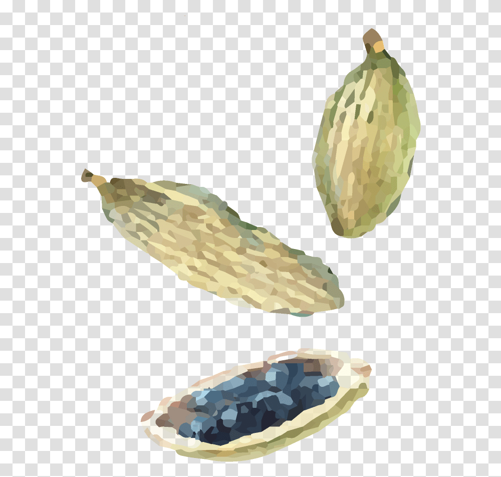 Watercolor Indian Cuisine Seeds Horned Melon, Plant, Food, Vegetable, Grain Transparent Png