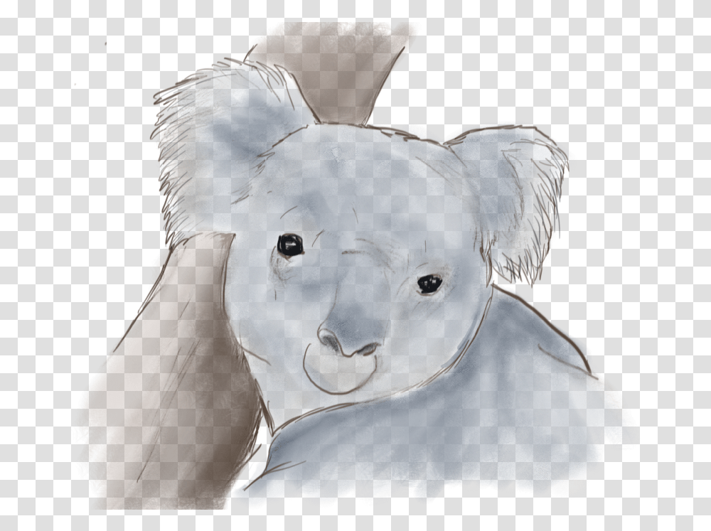 Watercolor Koala Clipart Koala, Figurine, Cushion, Plant, Person Transparent Png