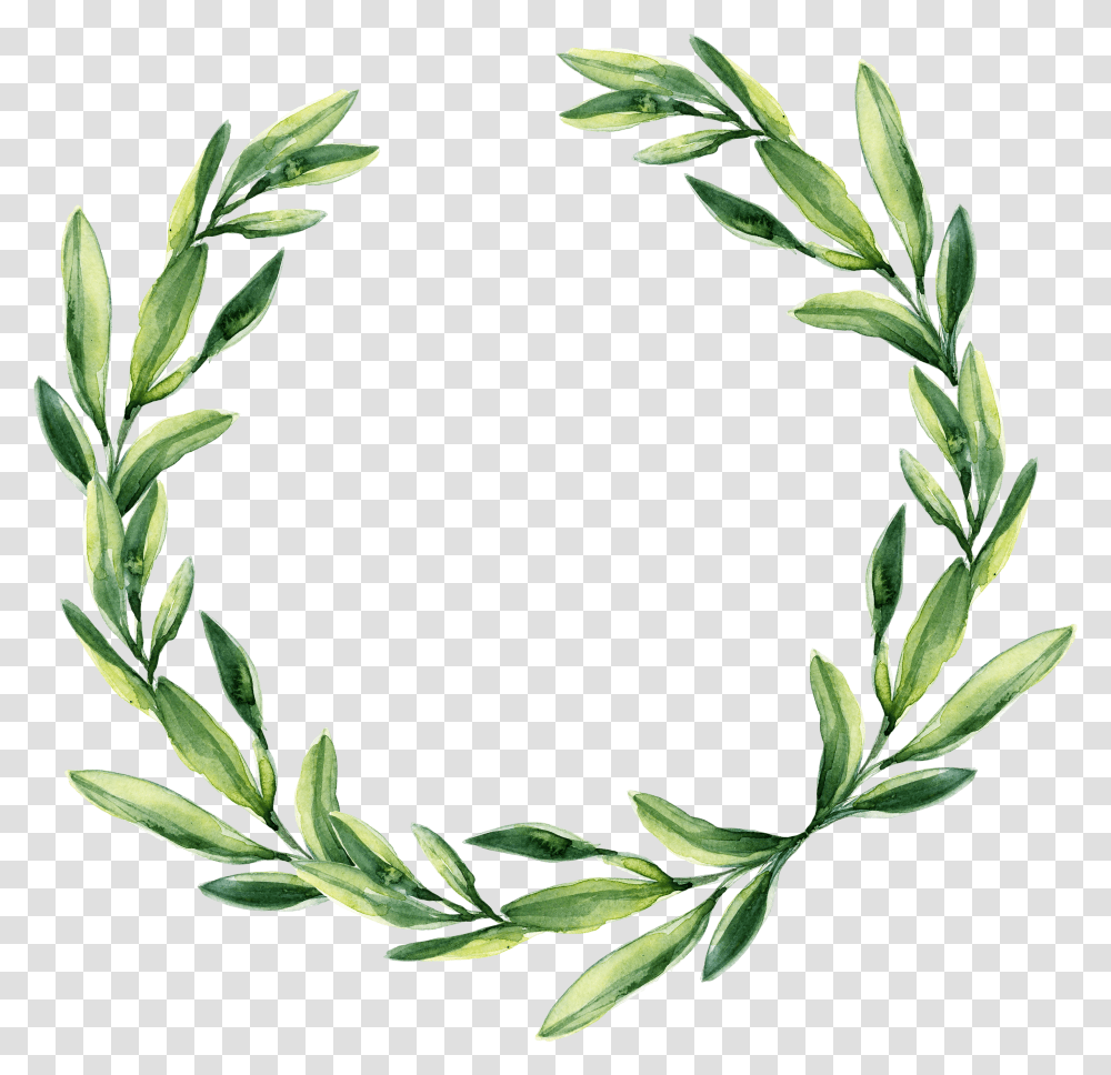 Watercolor Laurel Green Leaf Wreath Clipart Transparent Png