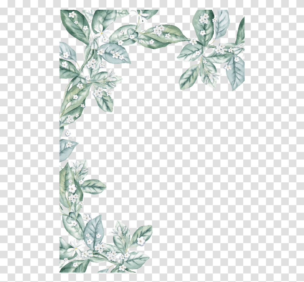 Watercolor Leaf Border, Plant, Flower, Veins, Acanthaceae Transparent Png