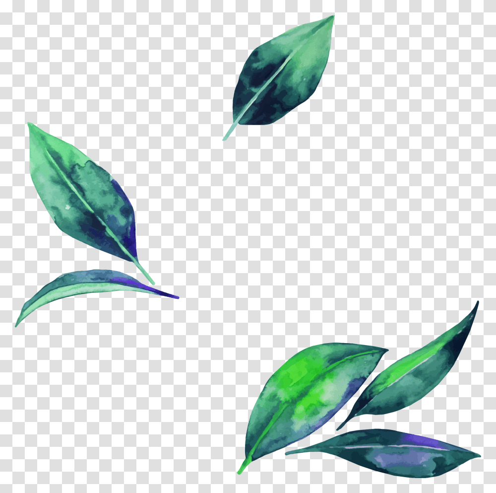 Watercolor Leaf Clipart Download Background Leaves, Plant, Flower, Annonaceae, Tree Transparent Png