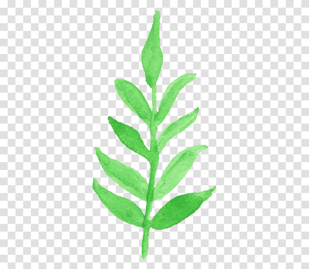 Watercolor Leaf Clipart, Plant, Grass, Pineapple, Fruit Transparent Png