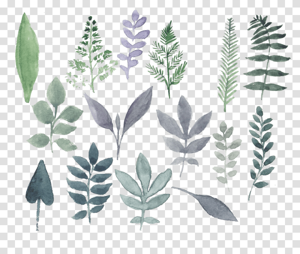 Watercolor Leaf Flower Design, Plant, Blossom, Fern, Rug Transparent Png