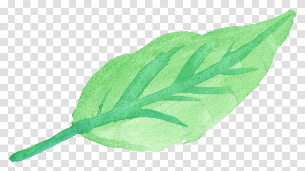 Watercolor Leaf Green Watercolor Leaf, Plant, Rug, Vegetable, Food Transparent Png