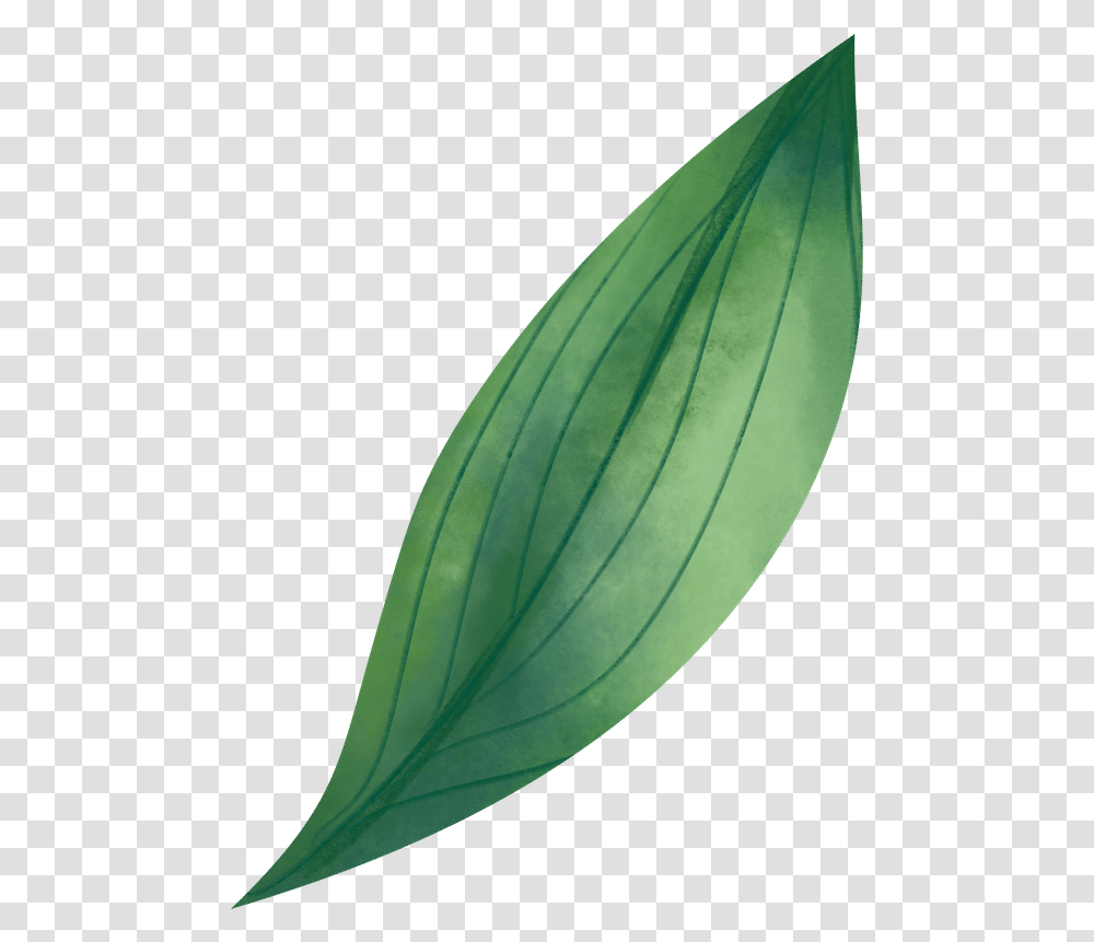 Watercolor Leaf Photos By Canva Illustration, Plant, Vase, Jar, Pottery Transparent Png