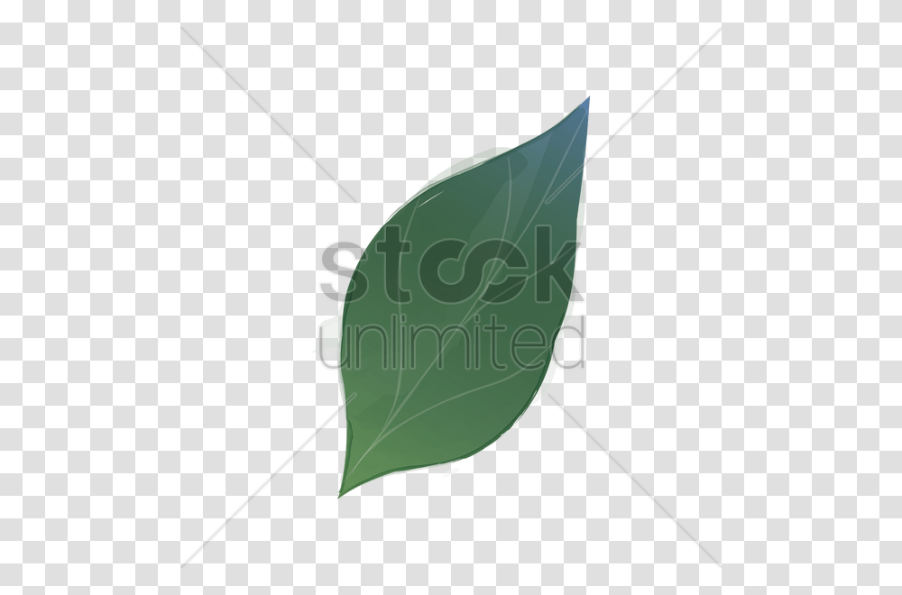 Watercolor Leaf Vector Image, Plant, Bow, Vase, Jar Transparent Png