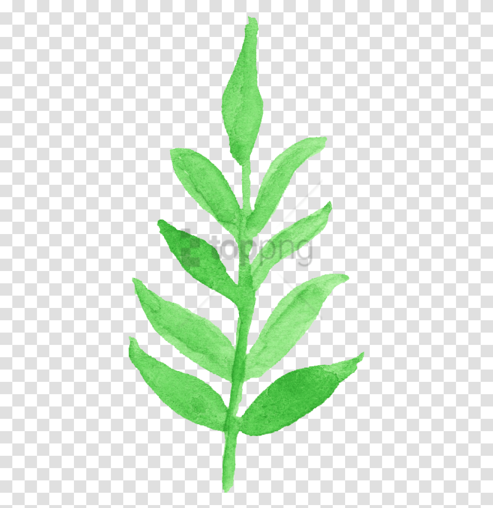 Watercolor Leaf Vol 2 Onlygfxcom Watercolor Leaves Clipart, Plant, Pineapple, Fruit, Food Transparent Png