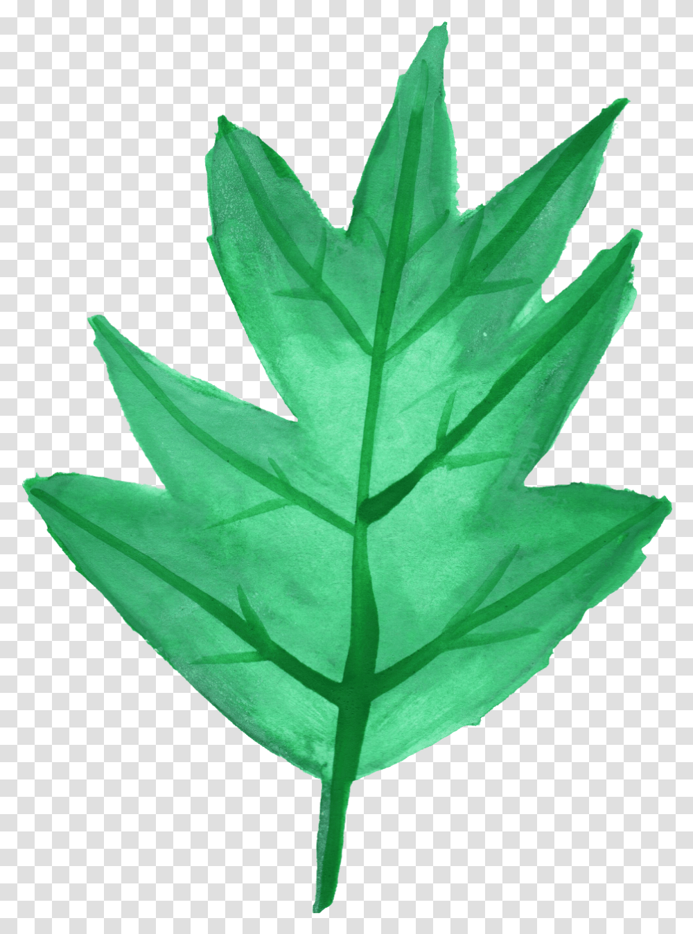 Watercolor Leaf Vol 3 Onlygfxcom Maple Leaf, Plant, Tree Transparent Png