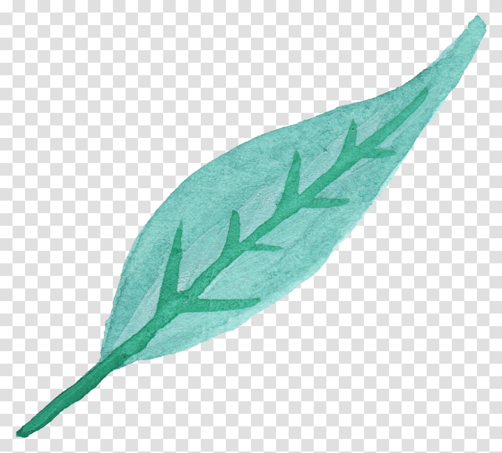 Watercolor Leaf Vol Blue Leaves, Plant, Annonaceae, Tree, Arrowhead Transparent Png