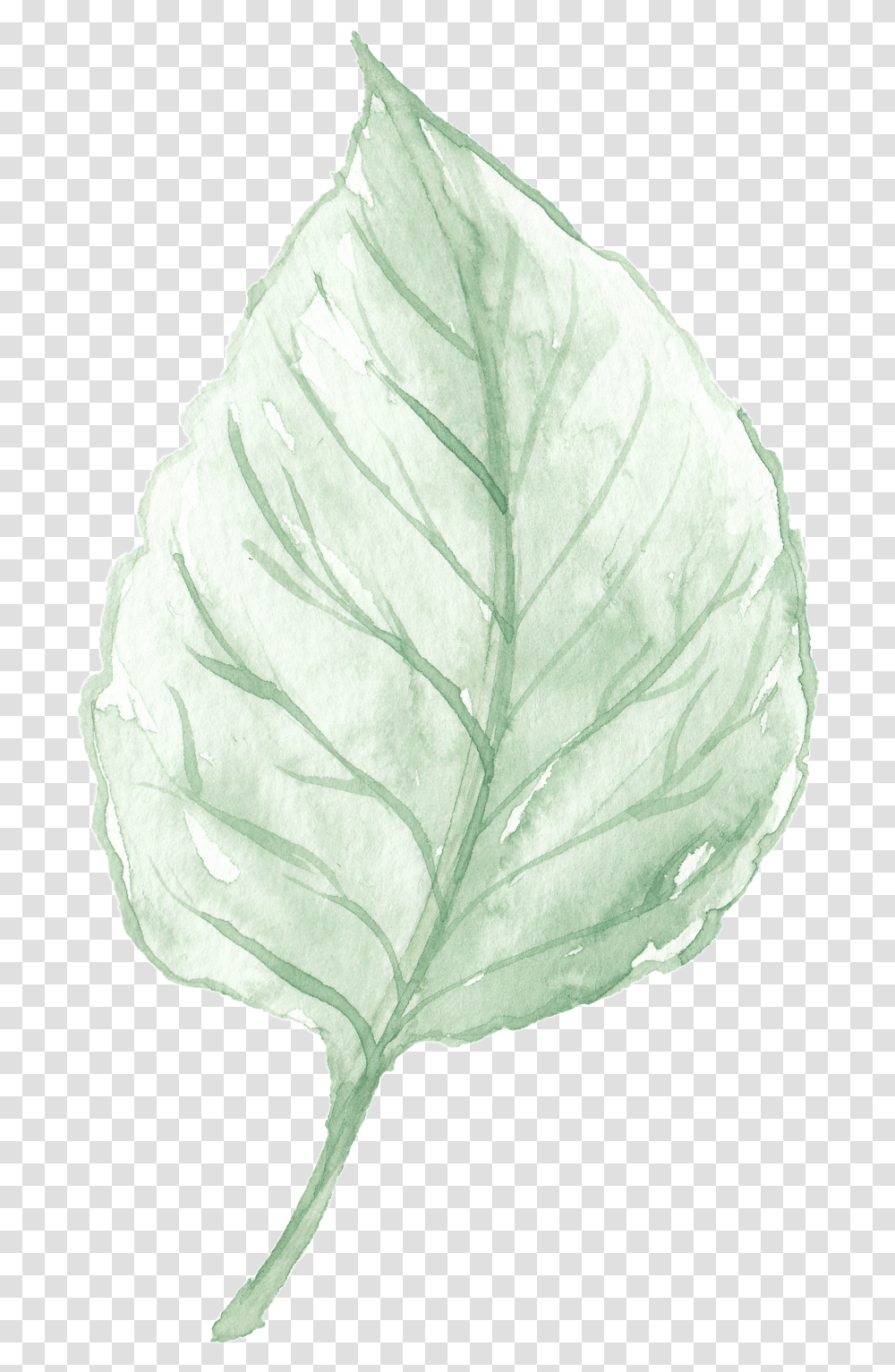 Watercolor Leaves Are Free From Material, Leaf, Plant, Jar, Potted Plant Transparent Png