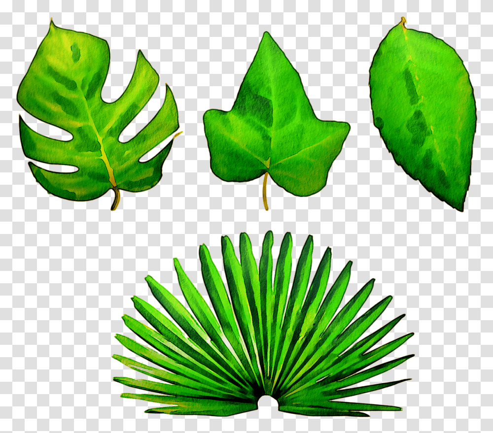 Watercolor Leaves Green Leaf Maple Leaf, Plant, Tree, Vegetation, Fern Transparent Png