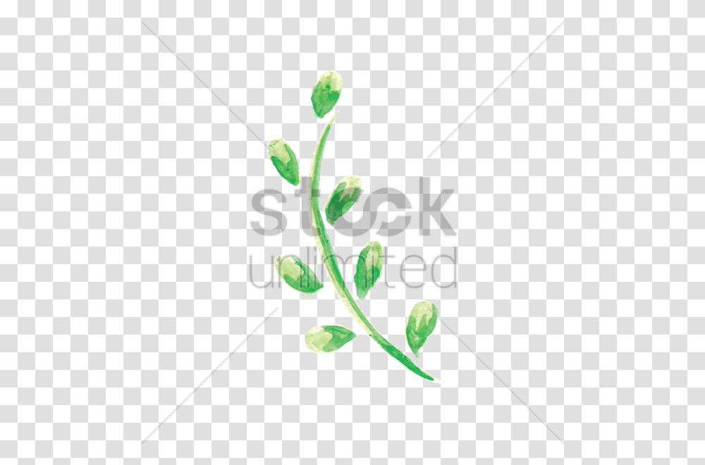 Watercolor Leaves Vector Image, Plant, Flower, Blossom, Dandelion Transparent Png