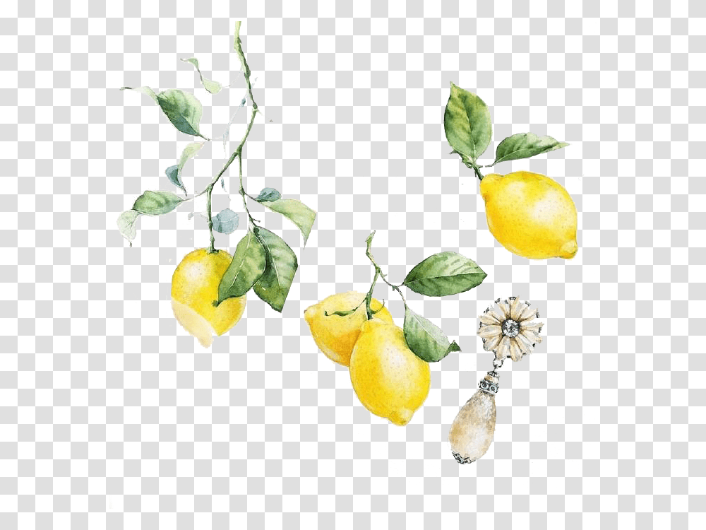 Watercolor Lemon Free, Plant, Fruit, Food, Citrus Fruit Transparent Png