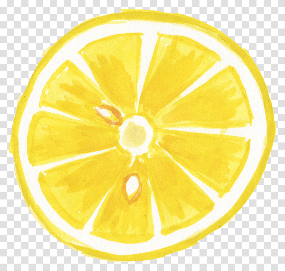 Watercolor Lemon Lemon Illustration, Citrus Fruit, Plant, Food, Grapefruit Transparent Png