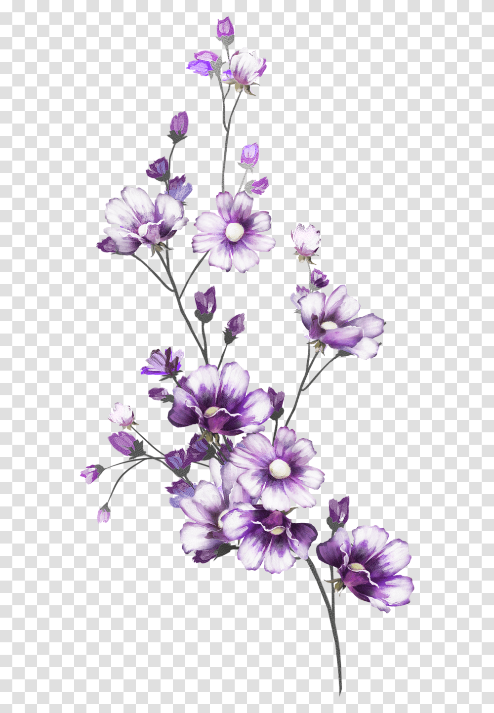 Watercolor Line Art Floral, Plant, Flower, Blossom, Geranium Transparent Png