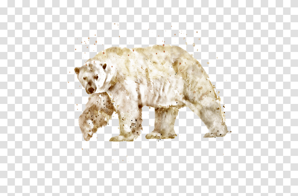 Watercolor Marian Voicu Animal Watercolor, Bear, Wildlife, Mammal, Polar Bear Transparent Png