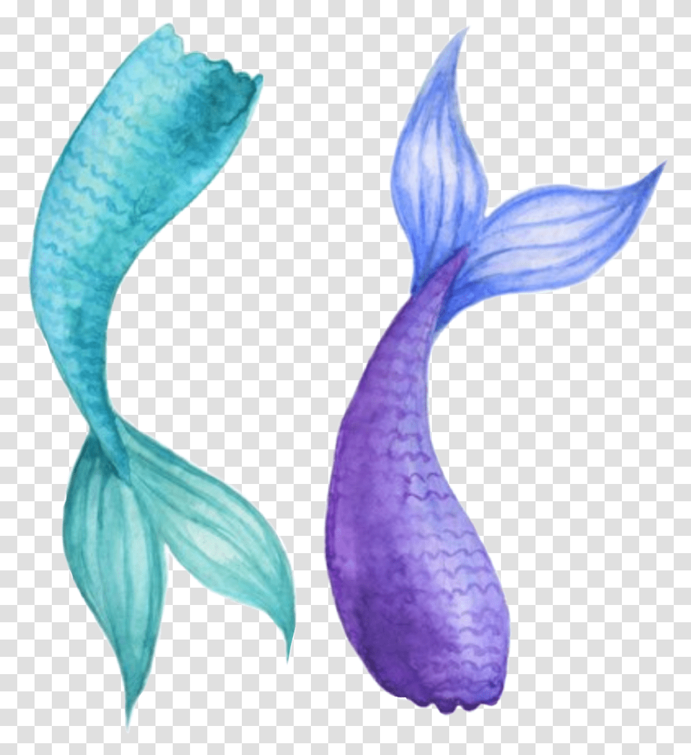Watercolor Mermaidtail Mermaid Tail Teal Purple Mermaid Tail Watercolor, Plant, Flower, Blossom, Person Transparent Png