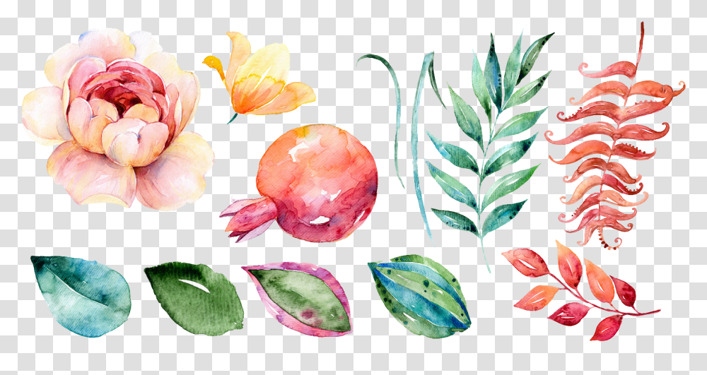 Watercolor Paint Coconut Flower Water Color, Leaf, Plant, Floral Design, Pattern Transparent Png