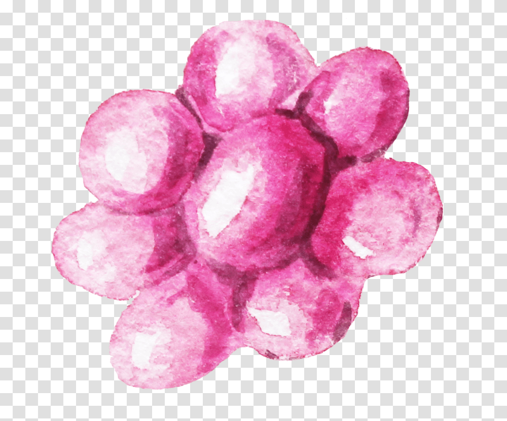 Watercolor Paint, Crystal, Rose, Flower, Plant Transparent Png