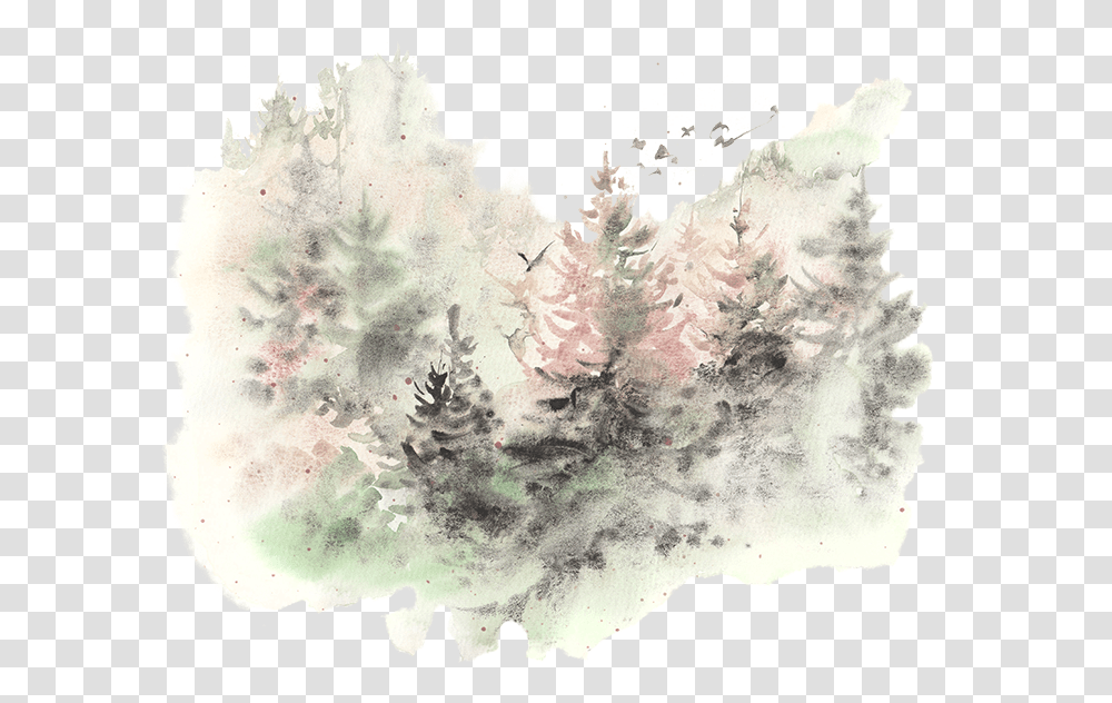 Watercolor Paint, Nature, Tree, Plant, Outdoors Transparent Png