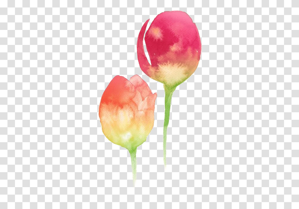 Watercolor Paint, Petal, Flower, Plant, Anther Transparent Png