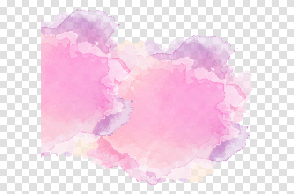 Watercolor Paint, Plant, Carnation, Flower, Blossom Transparent Png