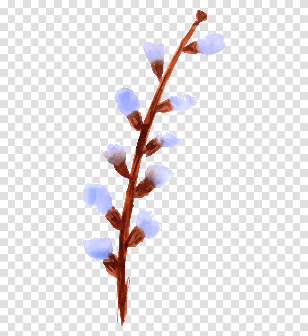 Watercolor Paint, Plant, Flower, Blossom, Petal Transparent Png