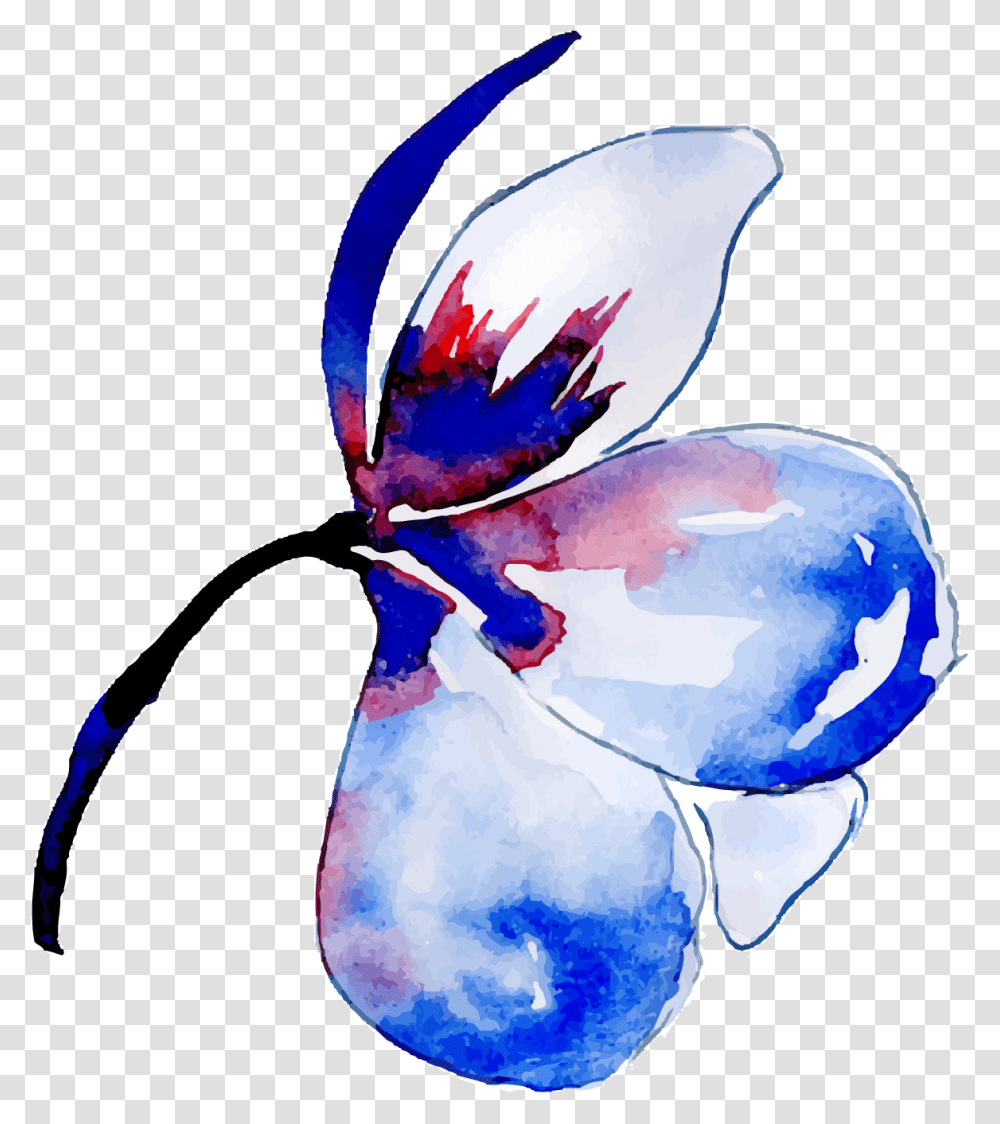 Watercolor Paint, Plant, Flower, Petal, Anemone Transparent Png