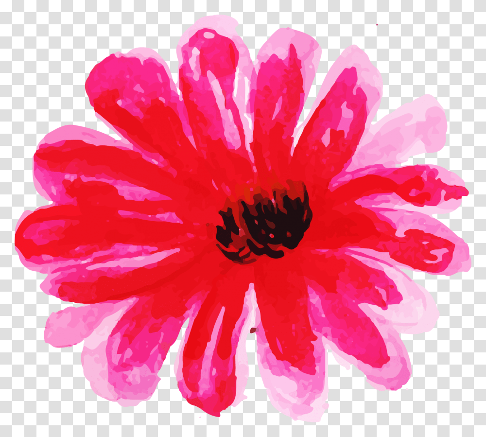 Watercolor Paint, Plant, Rose, Flower, Blossom Transparent Png