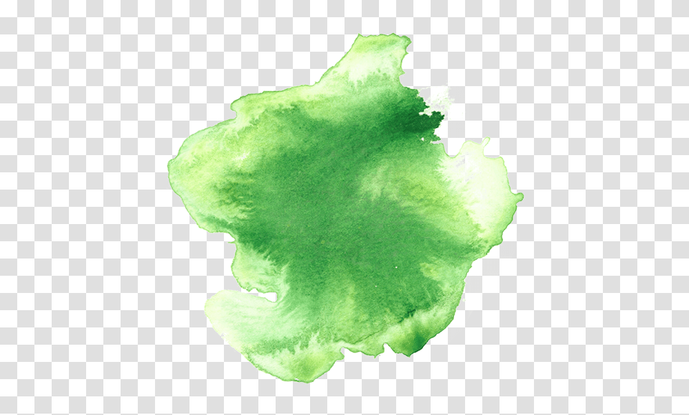 Watercolor Paint, Tennis Ball, Plant, Land, Outdoors Transparent Png