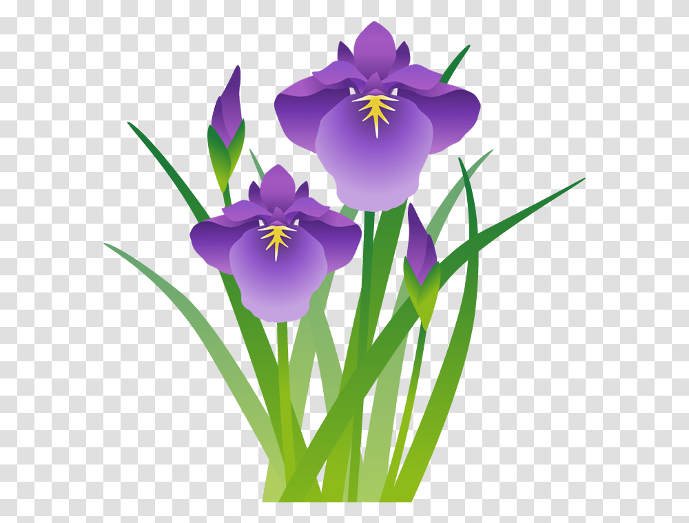 Watercolor Paint Tray Clip Art, Iris, Flower, Plant, Blossom Transparent Png