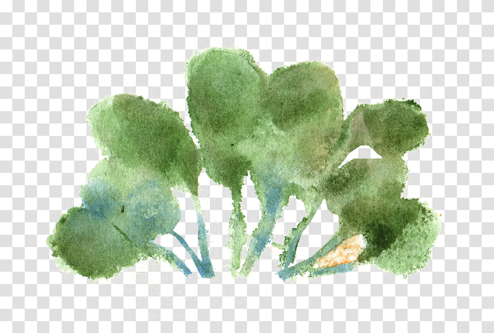 Watercolor Paint Watercolor Paint, Plant, Moss, Algae Transparent Png