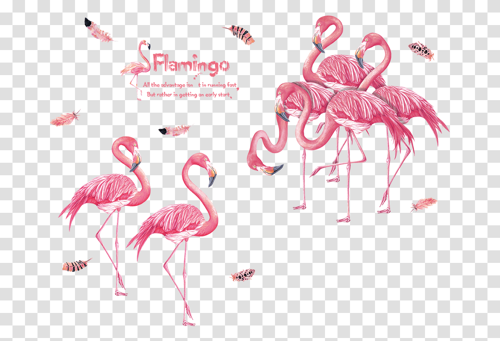 Watercolor Painted Pink Flamingo Full Color Vinyl Decal Wall Stickers Flamingo, Bird, Animal Transparent Png