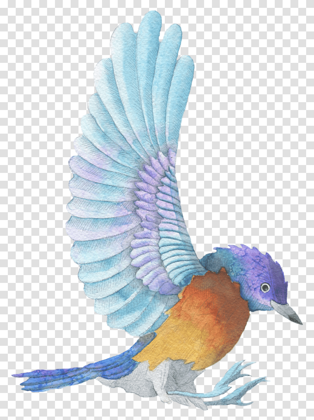 Watercolor Painting, Bluebird, Animal, Flying, Jay Transparent Png