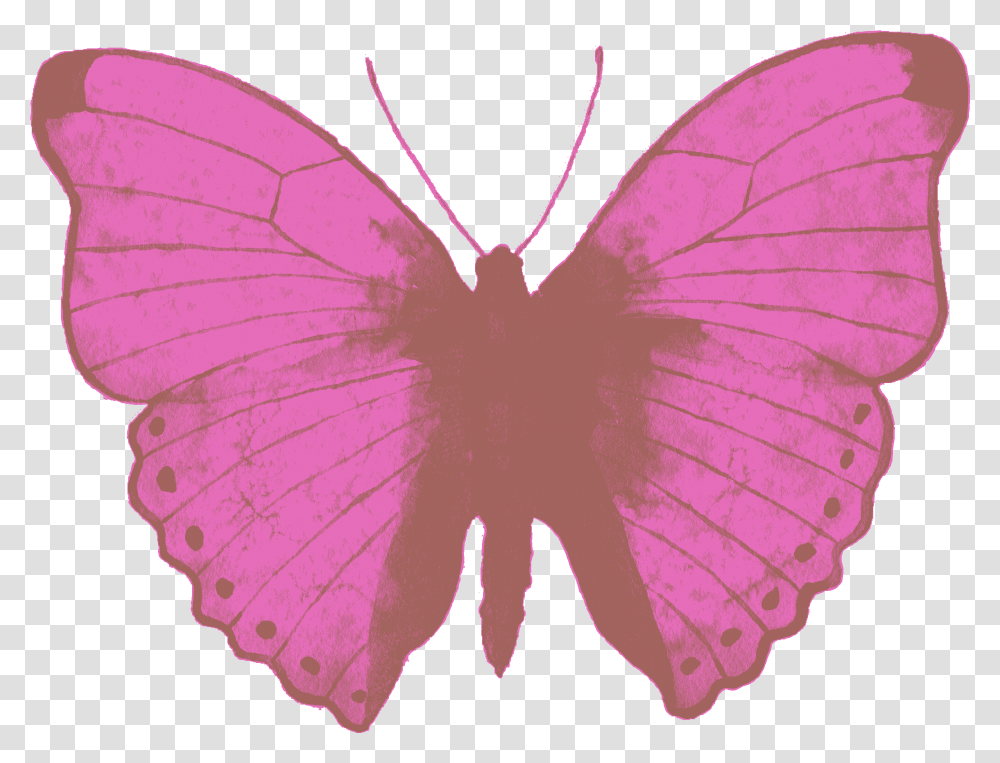 Watercolor Painting, Butterfly, Insect, Invertebrate, Animal Transparent Png