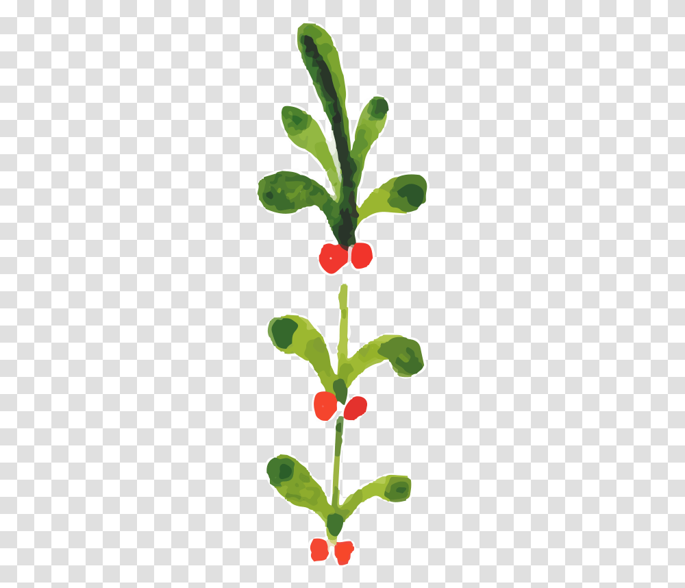 Watercolor Painting Christmas Plants Background Christmas Clipart Free, Radish, Vegetable, Food, Pineapple Transparent Png