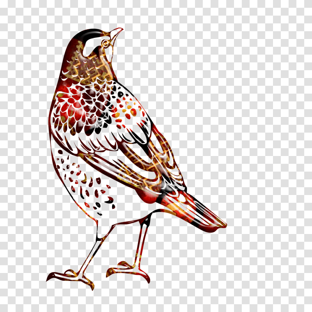 Watercolor Painting Clipart Bird Thrush Black And White, Animal, Finch, Glass Transparent Png