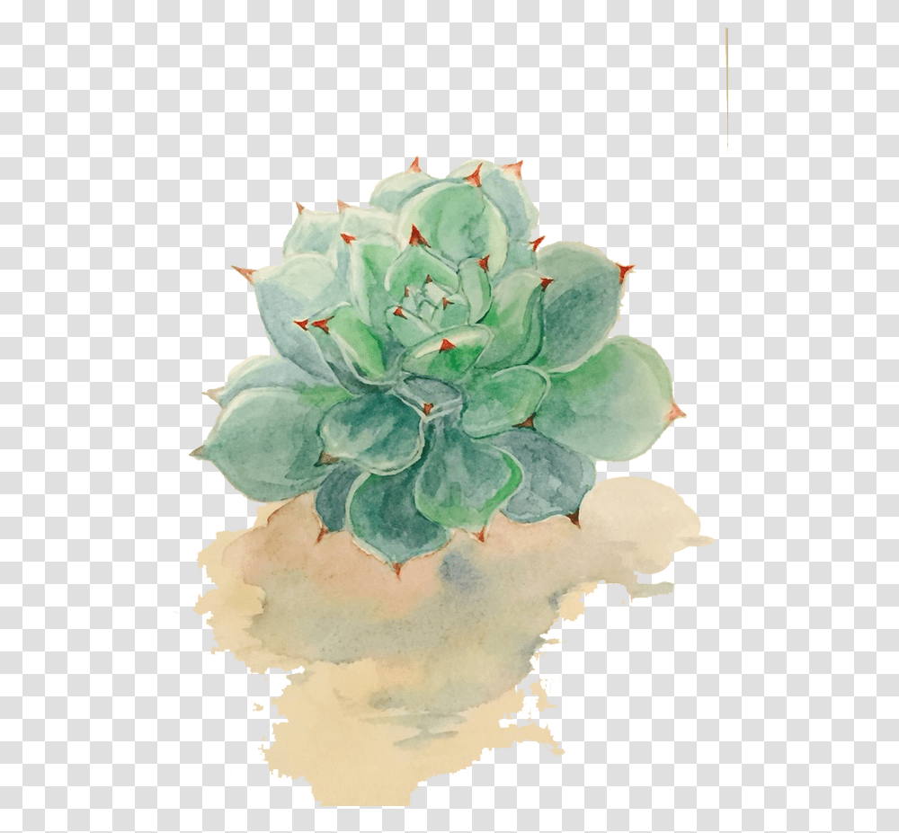 Watercolor Painting Drawing Background Watercolor Succulent, Plant, Art, Cactus, Flower Transparent Png