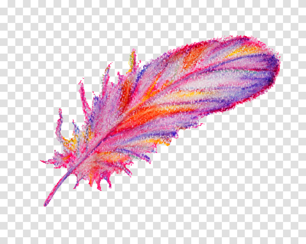 Watercolor Painting Feather Decorative Free, Leaf, Plant, Purple, Iris Transparent Png