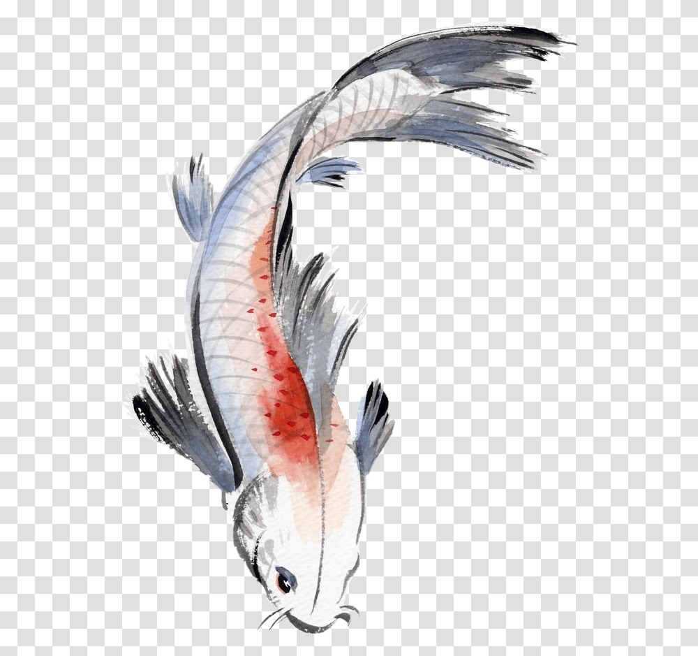 Watercolor Painting Fish Koi Koifish Watercolour Watercolor Koi Fish, Bird, Animal, Dragon, Flying Transparent Png
