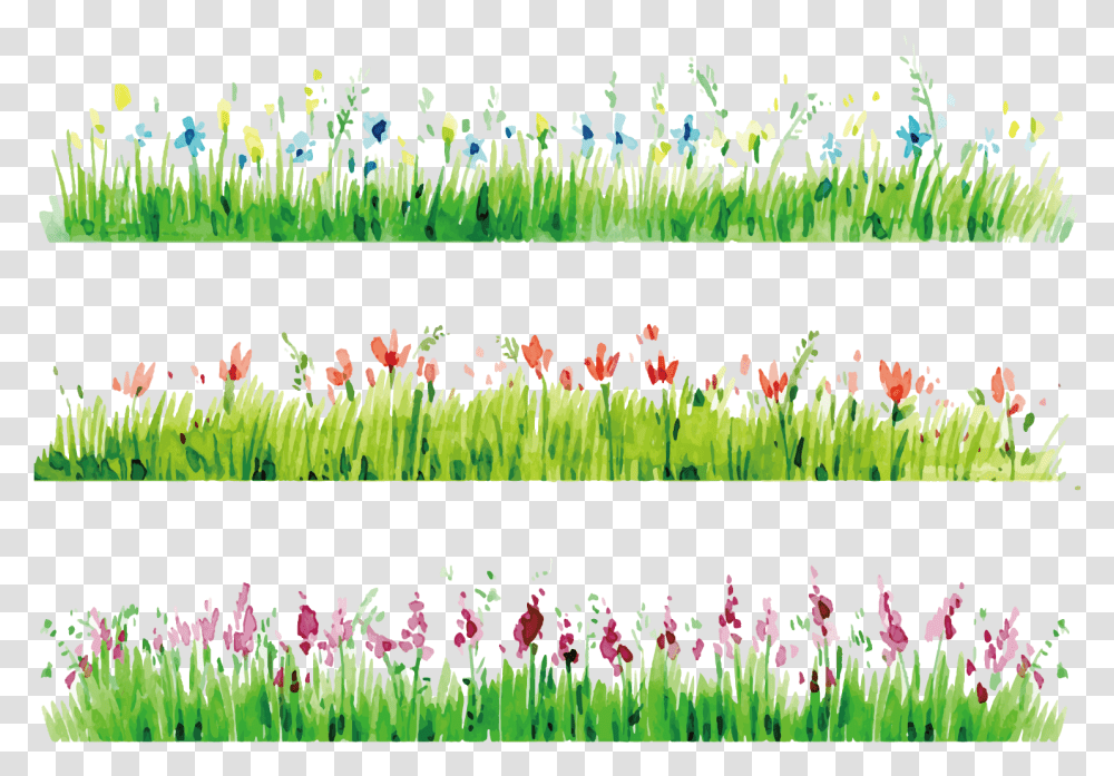 Watercolor Painting Flower Photography Watercolor Flowers Watercolor Grass, Plant, Blossom, Tulip, Collage Transparent Png